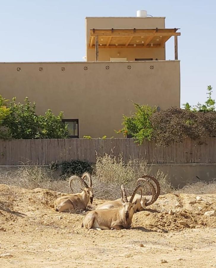 צמח בר Apartment Midreshet Ben Gurion Luaran gambar